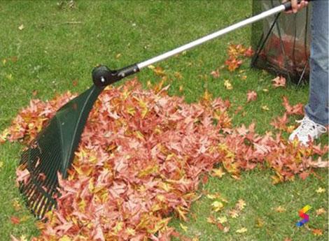 Leaf rake deals definition