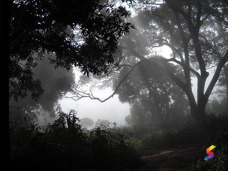 Somber Example Define Somber, Somber Meaning, Somber Examples, Somber Synonyms, Somber ...