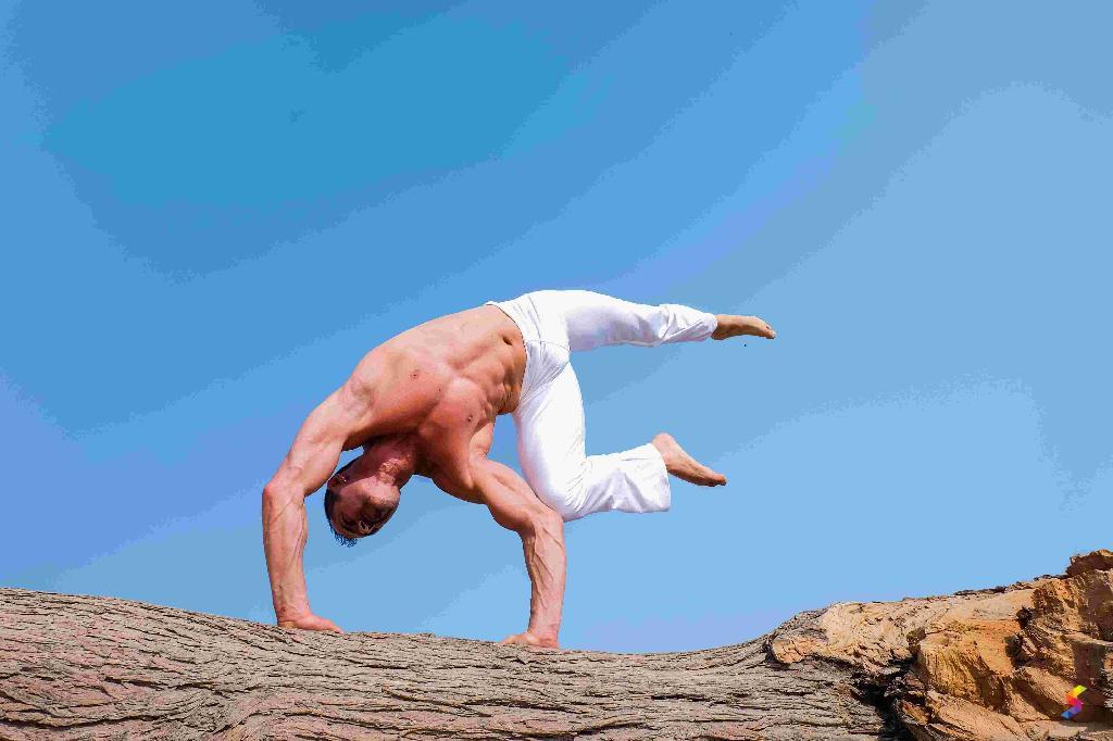 Define Acrobat, Acrobat Meaning, Acrobat Examples, Acrobat Synonyms ...