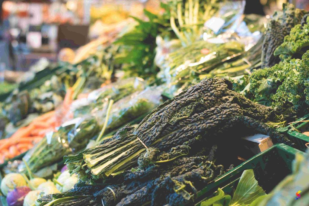 Define Groceries, Groceries Meaning, Groceries Examples, Groceries