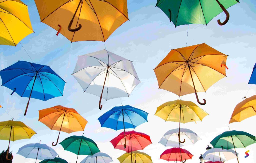Define Umbrella Umbrella Meaning Umbrella Examples Umbrella Synonyms define-umbrella-umbrella-meaning-umbrella-examples-umbrella-synonyms