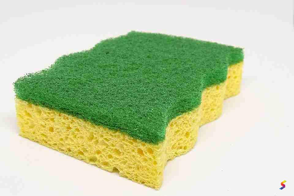 define-sponge-sponge-meaning-sponge-examples-sponge-synonyms-sponge