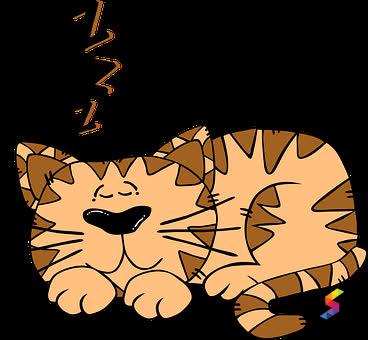 Define Comatose Comatose Meaning Comatose Examples Comatose Synonyms Comatose Images Comatose Vernacular Comatose Usage Comatose Rootwords Smartvocab Define Comatose Comatose Meaning Comatose Examples Comatose Synonyms Comatose Images Comatose Vernacular Comatose Usage Comatose Rootwords Smartvocab