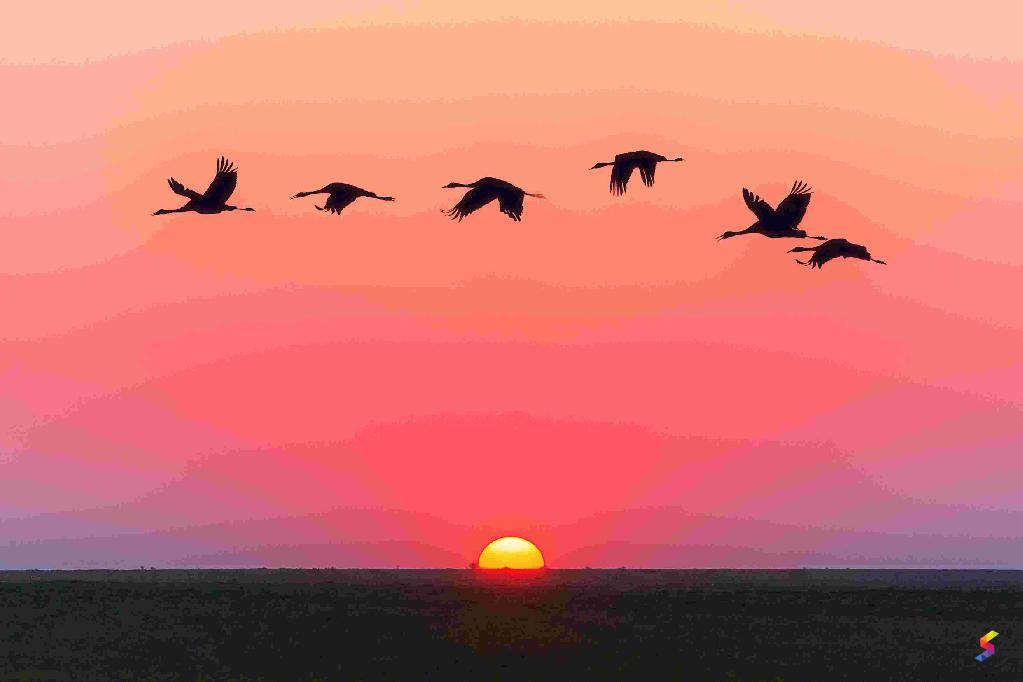 Define Sunset, Sunset Meaning, Sunset Examples, Sunset Synonyms, Sunset