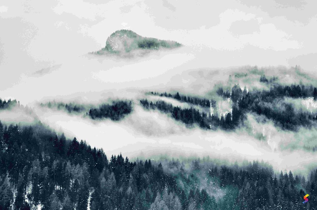 Define Mist, Mist Meaning, Mist Examples, Mist Synonyms, Mist Images ...