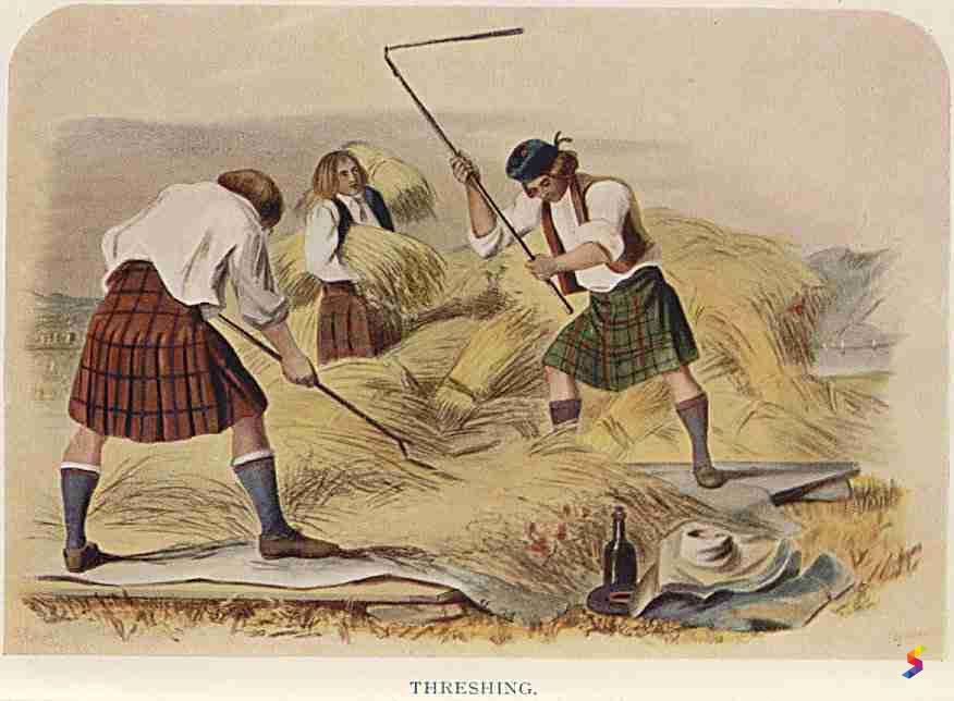 Define Flail, Flail Meaning, Flail Examples, Flail Synonyms, Flail