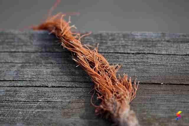 Define Fray, Fray Meaning, Fray Examples, Fray Synonyms, Fray Images ...