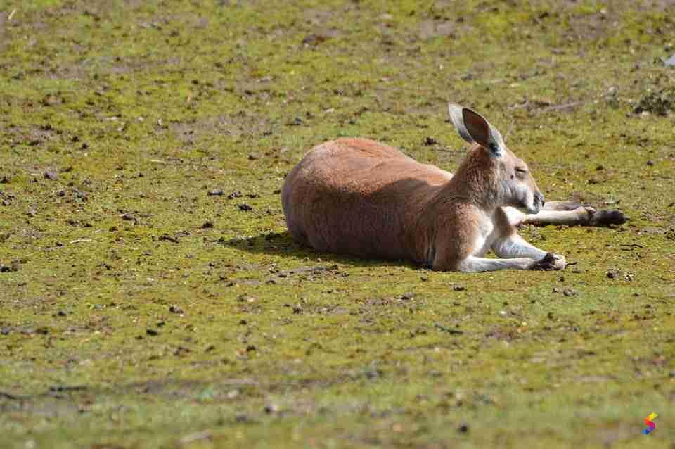 Define Tarry, Tarry Meaning, Tarry Examples, Tarry Synonyms, Tarry