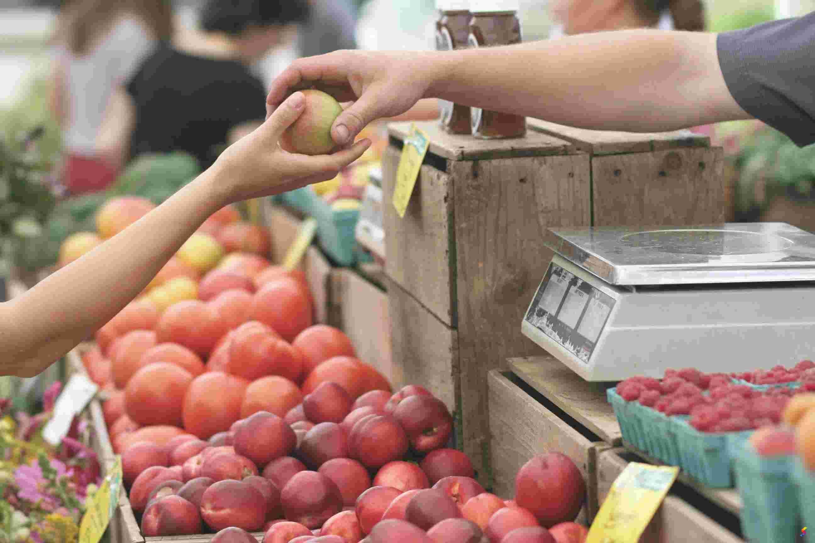 Define Groceries, Groceries Meaning, Groceries Examples, Groceries