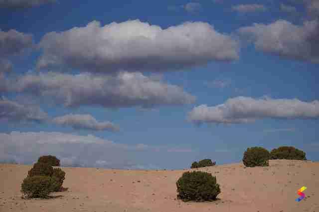 Define Sparse, Sparse Meaning, Sparse Examples, Sparse Synonyms, Sparse ...