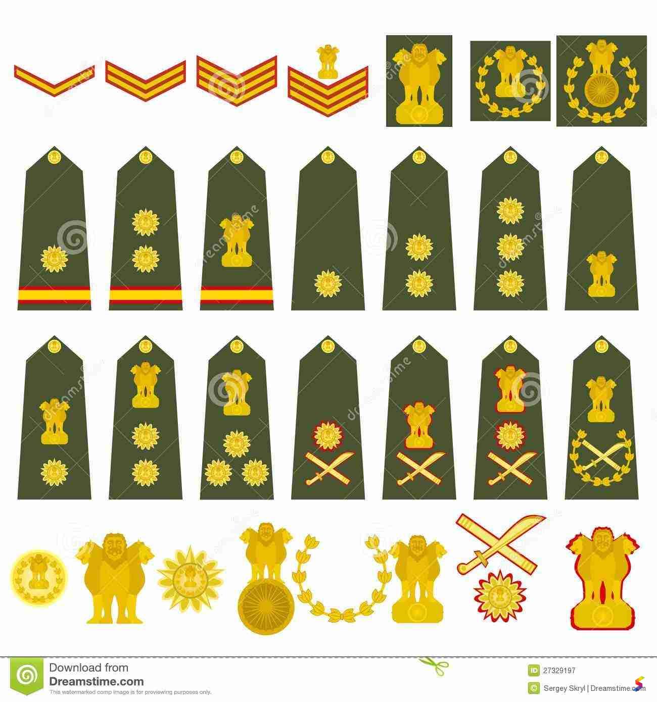 define-insignia-insignia-meaning-insignia-examples-insignia-synonyms