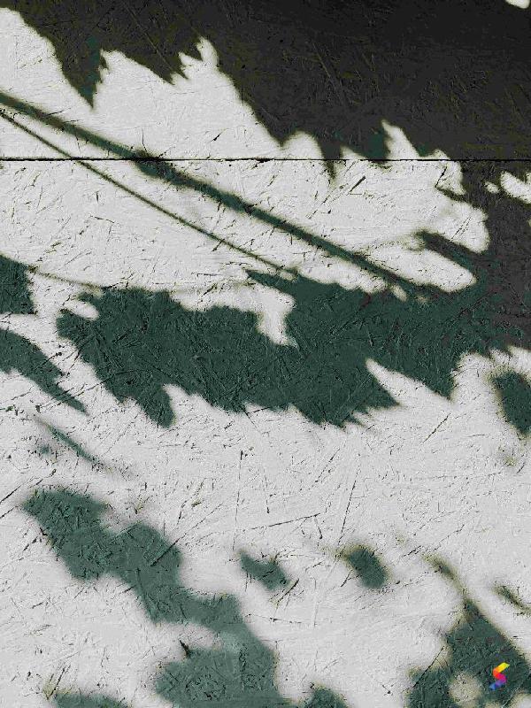 Define Shadow, Shadow Meaning, Shadow Examples, Shadow Synonyms, Shadow ...