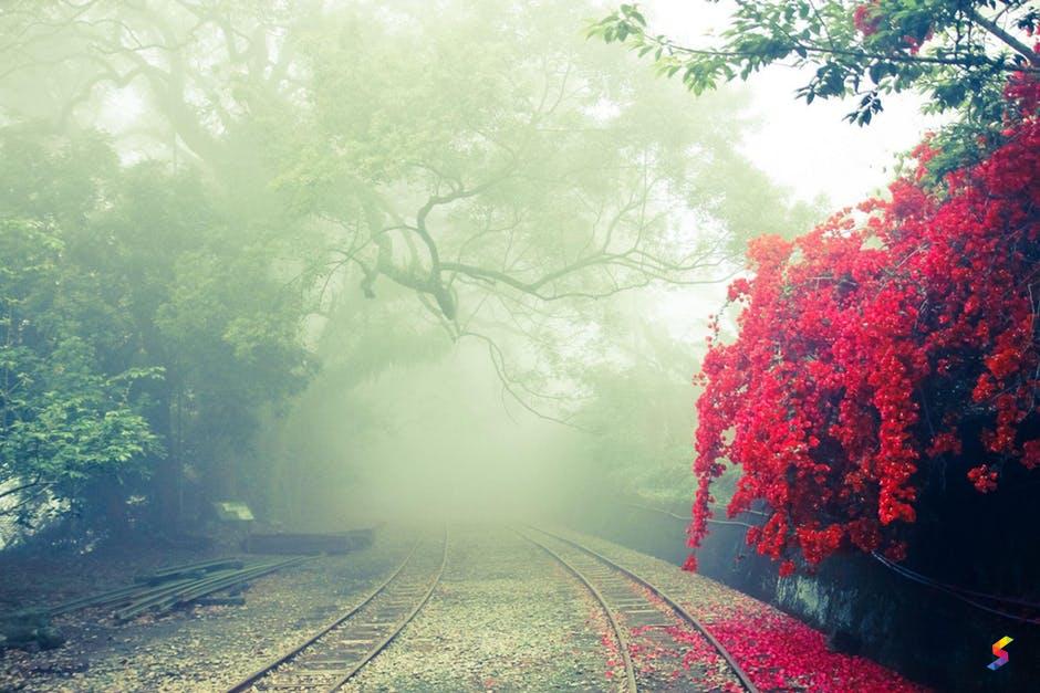 Define Hazy Hazy Meaning Hazy Examples Hazy Synonyms Hazy Images Hazy Vernacular Hazy Usage Hazy Rootwords Smartvocab