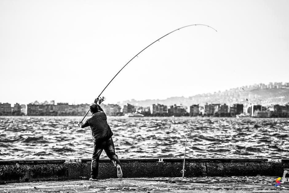 Define Bait Bait Meaning Bait Examples Bait Synonyms Bait Images Bait Vernacular Bait Usage Bait Rootwords Smartvocab Define Bait Bait Meaning Bait Examples Bait Synonyms Bait Images Bait Vernacular Bait Usage Bait Rootwords Smartvocab