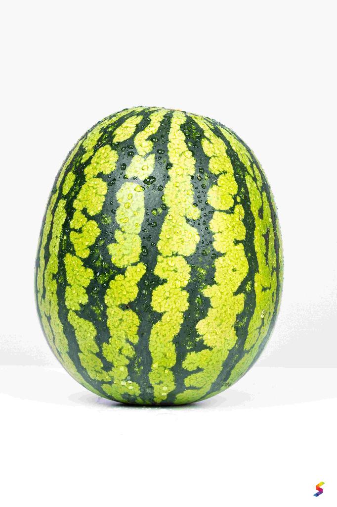 Define Watermelon Watermelon Meaning Watermelon Examples Watermelon