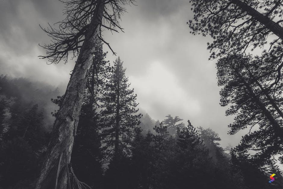 Define Gloomy Gloomy Meaning Gloomy Examples Gloomy Synonyms Gloomy Images Gloomy Vernacular Gloomy Usage Gloomy Rootwords Smartvocab Define Gloomy Gloomy Meaning Gloomy Examples Gloomy Synonyms Gloomy Images Gloomy Vernacular Gloomy Usage Gloomy Rootwords Smartvocab