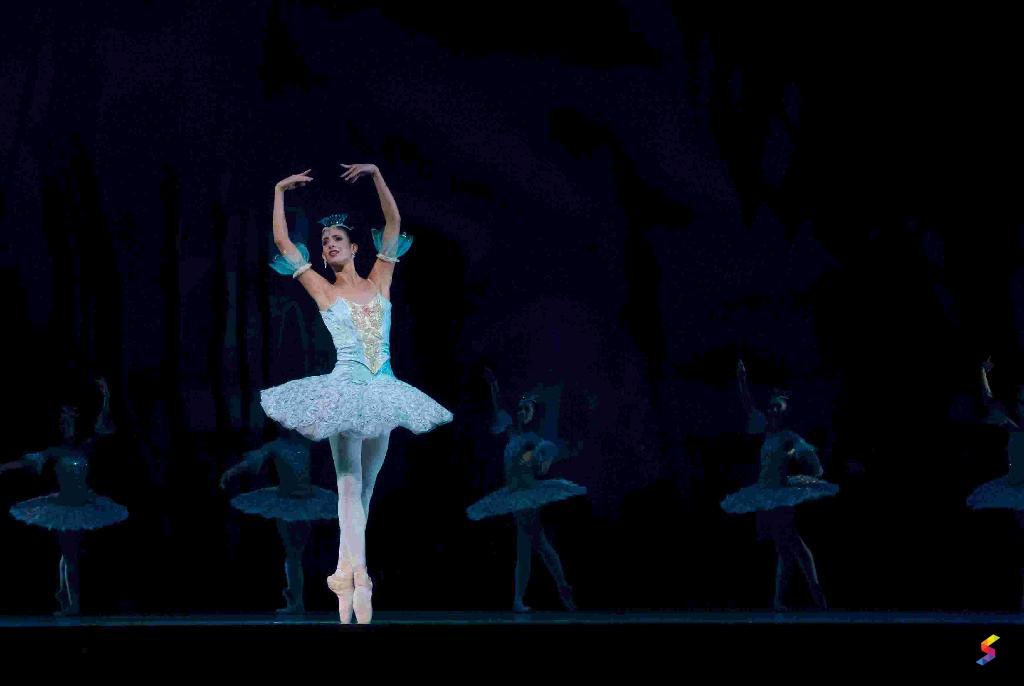 Define Perform, Perform Meaning, Perform Examples, Perform Synonyms ...