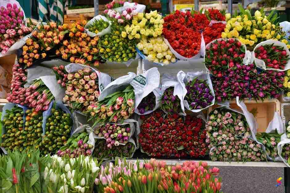 Define Bountiful, Bountiful Meaning, Bountiful Examples, Bountiful ...