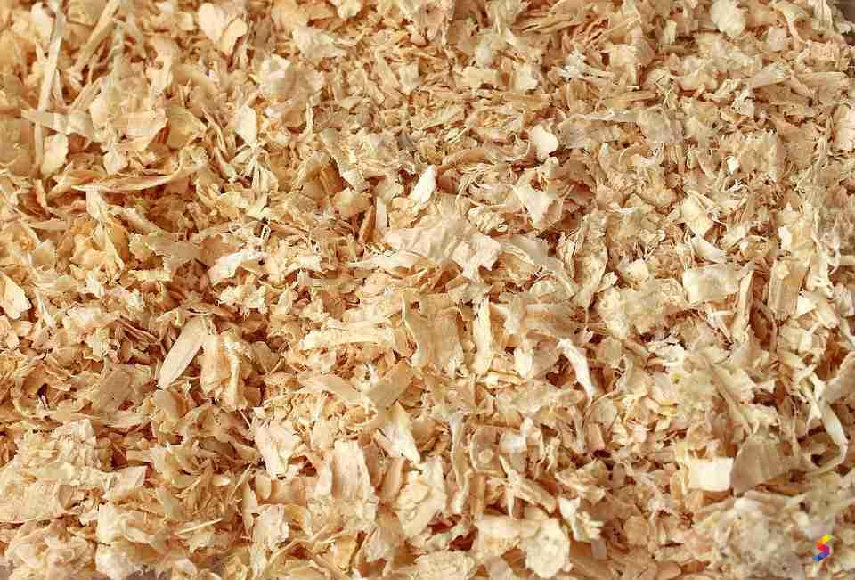 Wood Shavings Meaning In Hindi