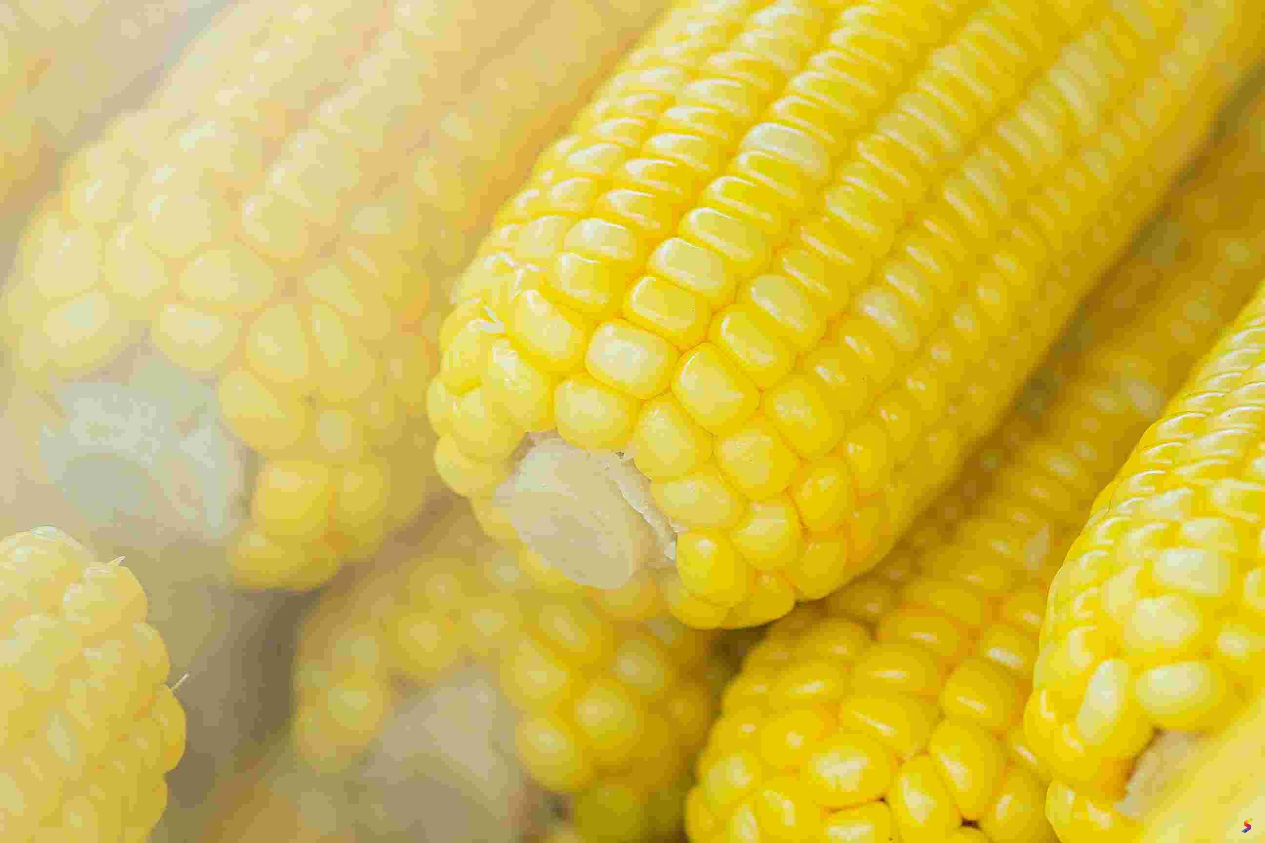 corn-in-dream-meaning-interpretation