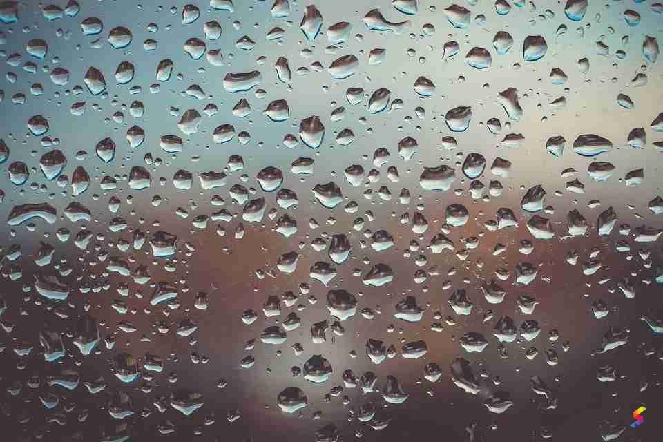 Define Humid, Humid Meaning, Humid Examples, Humid Synonyms, Humid ...