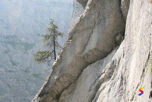 Define Steep, Steep Meaning, Steep Examples, Steep Synonyms, Steep ...