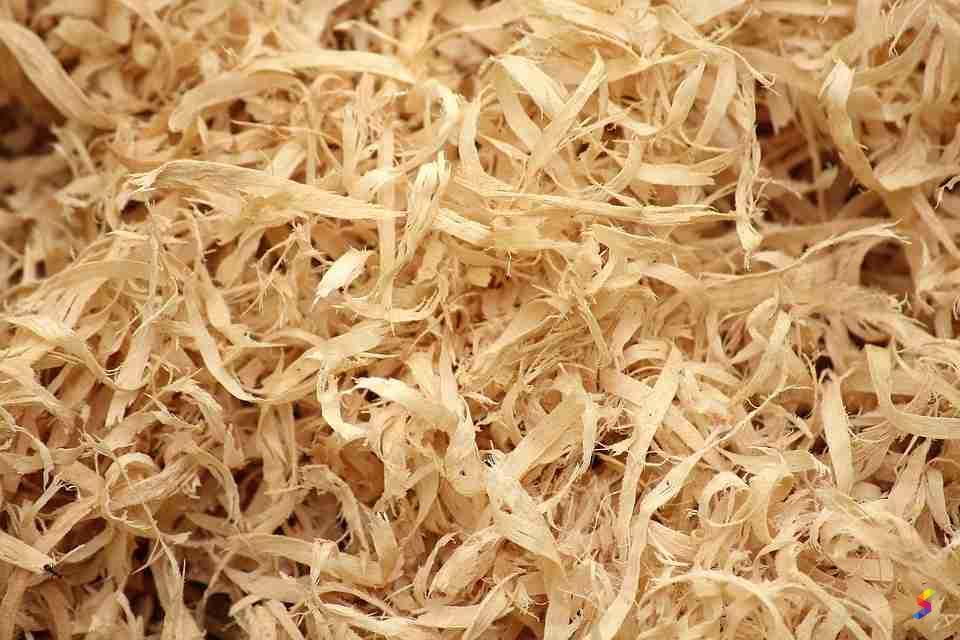 define-sawdust-sawdust-meaning-sawdust-examples-sawdust-synonyms