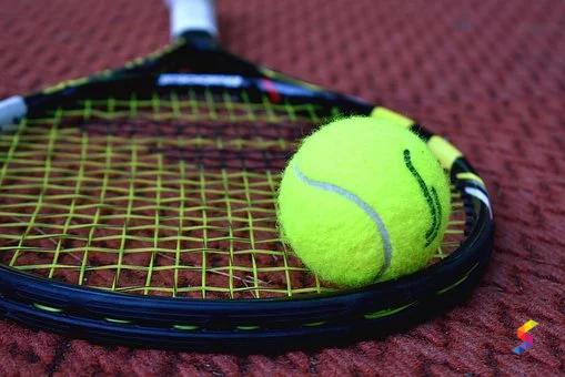 define-racket-racket-meaning-racket-examples-racket-synonyms-racket