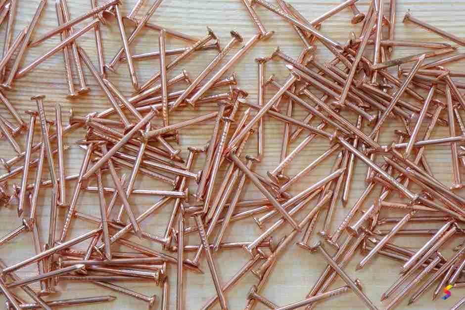 Which dog is good, one with 20 nails or 18 nails? - Quora