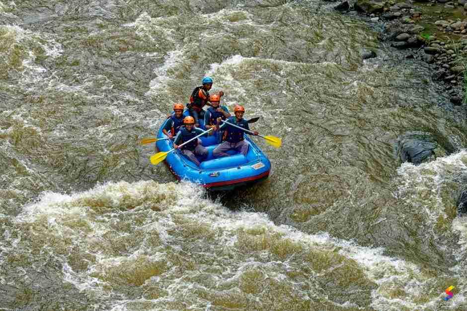 define-raft-raft-meaning-raft-examples-raft-synonyms-raft-images