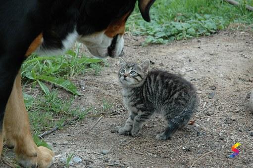 Define Encounter, Encounter Meaning, Encounter Examples, Encounter