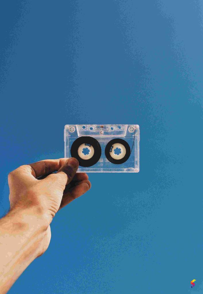 define-cassette-cassette-meaning-cassette-examples-cassette-synonyms